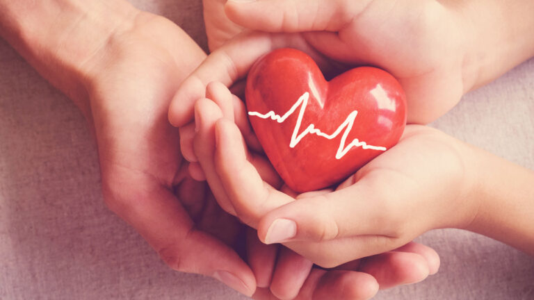 hand holding a heartbeat