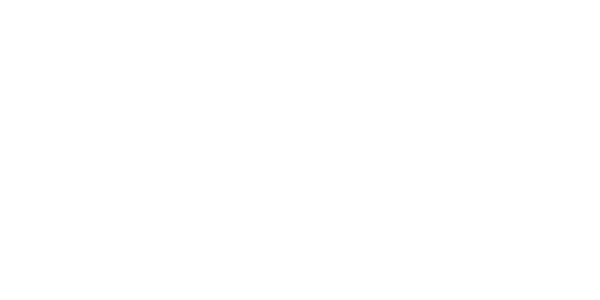 AVA 1
