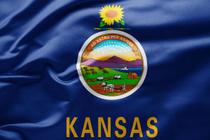 Kansas flag