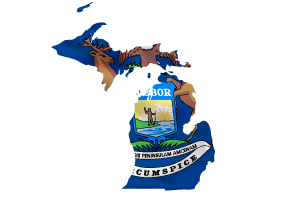 Michigan flag map