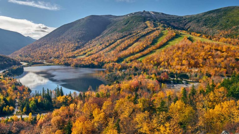 Travel nursing jobs in New Hampshire