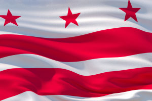 Washington DC Flag