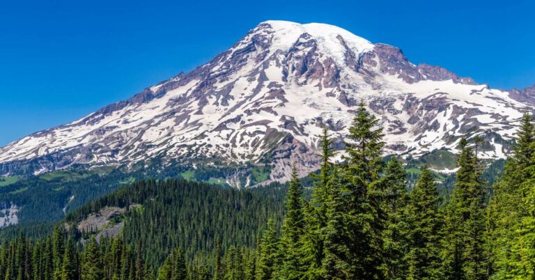 Western Washington Travel Nurse Jobs