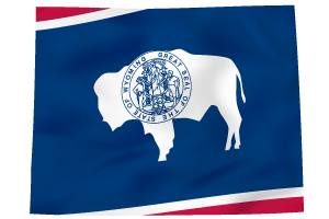 Wyoming Healthcare Staffing Workforce Solutions 2